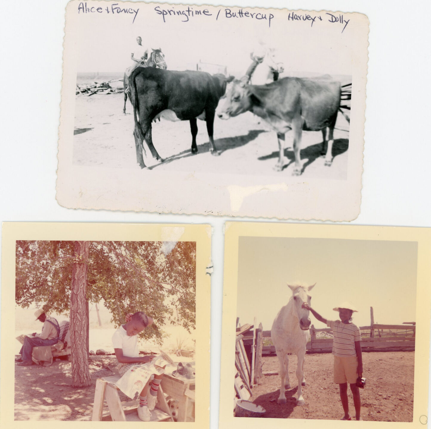 022821-news-drought-thepast 3.jpg